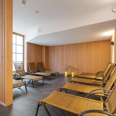 Apartment Steinadler Edelweiss - Skiing Holiday In *